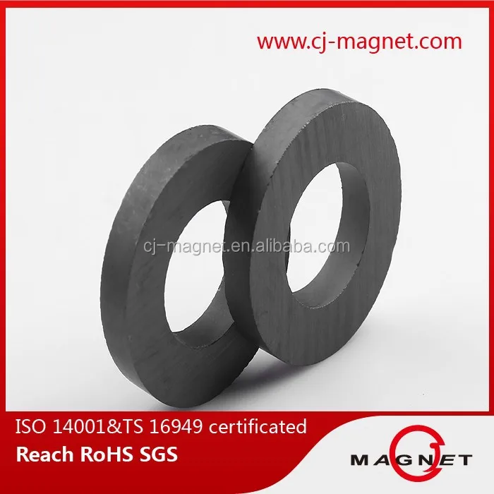 Subwoofer Ferrite Magnet