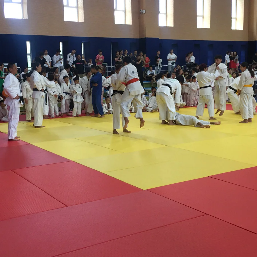 IJF 5cm Customized Tatami Judo Used Mat Martial Arts Grappling Mats