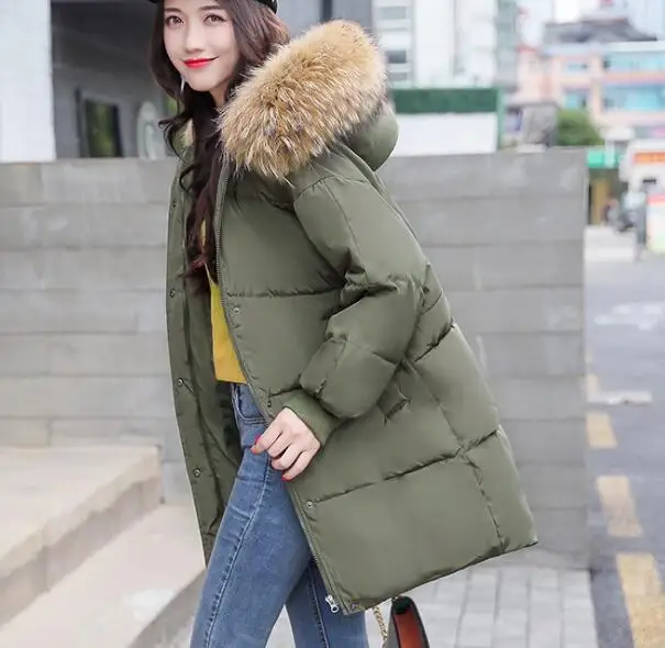 padding jacket korea