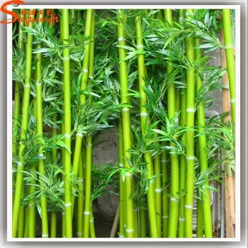 Green Color Bamboo Cane at Best Price in Kanchanpur