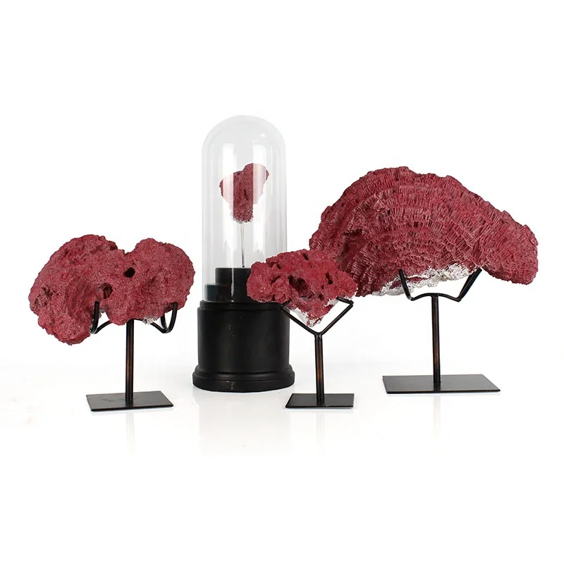 Artificial Resin Red Coral Decor Coral Metal Base Home Decor