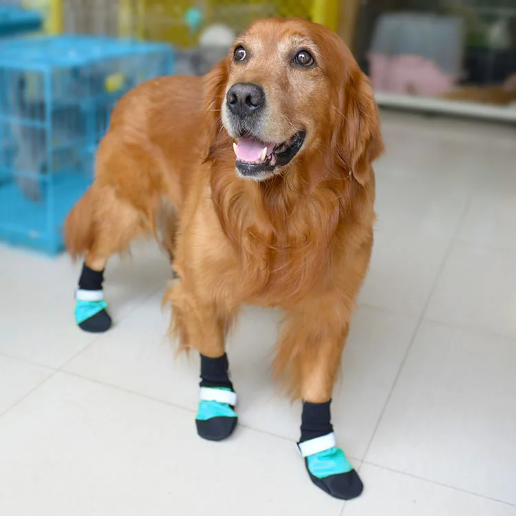 Pet Product Wholesale Waterproof Winter 