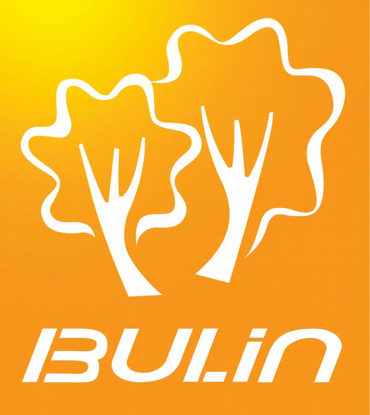 bulin c650 new item quality portable