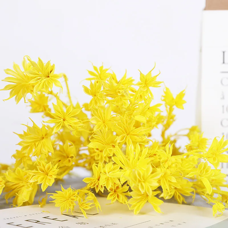 Заводской сушеный цветок, консервированный восьмиугольный цветок для композиции консервированных цветов