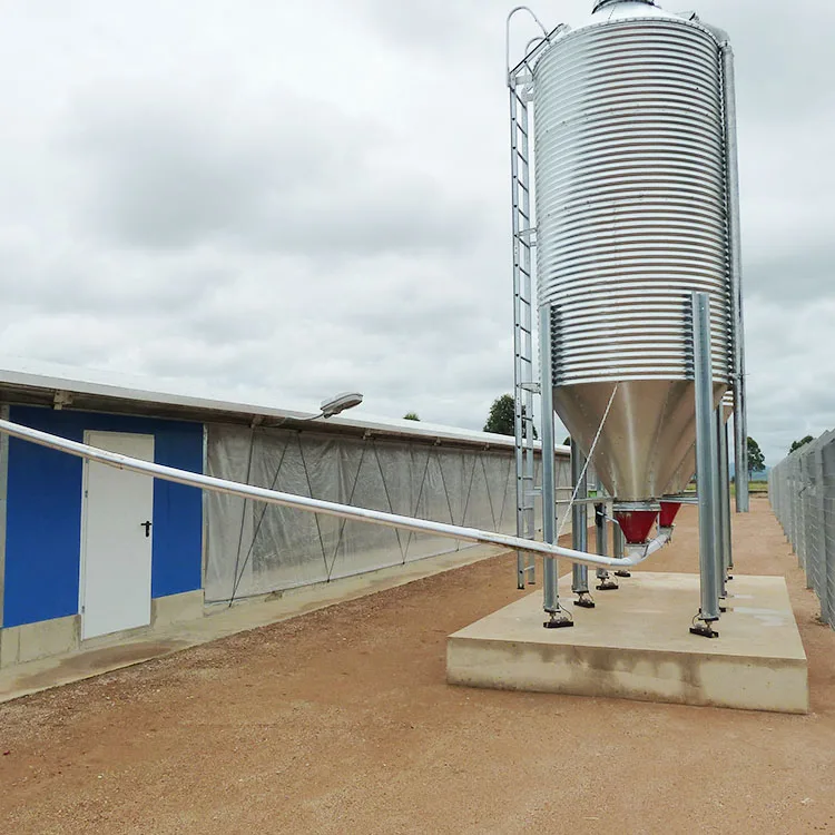 Steel Structure Building Chicken Shed Poultry Farm Mobile Chicken House