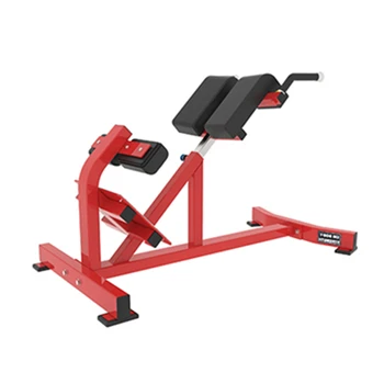 Exercise chair BW Back Extension strength train gym equipment