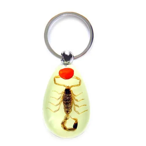 Real Red Leg Scarab Beetle Insect Bugs Resin Specimen Waterdrop Keychain Various Choice Premium Gift