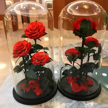 Same as beauty and the beast rose long lasting preserved stabilized flowers
