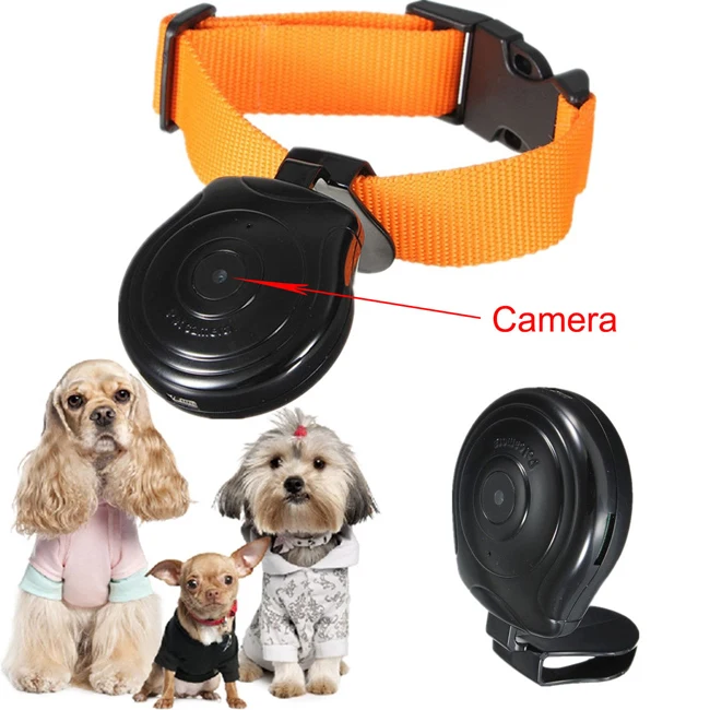 Pet Cam Dog Cat Collar Mini Digital Camera Dvr Video Eyeview Recorder - Buy Pet  Cam,Pet Camera,Pet Cam Product on 
