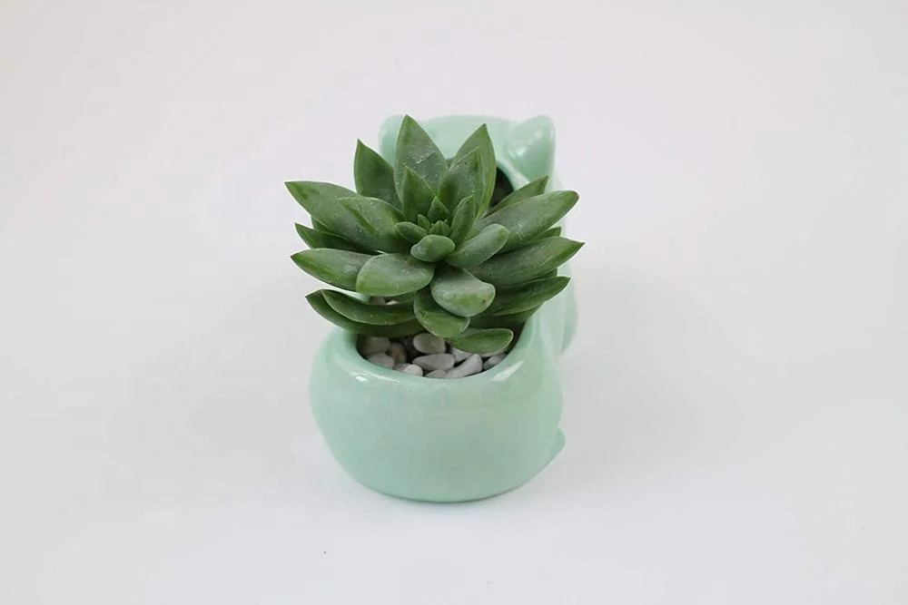 Green Ceramic Flowerpot Glazed Pottery Cheap Small Mini Bulbasaur Flower Pot