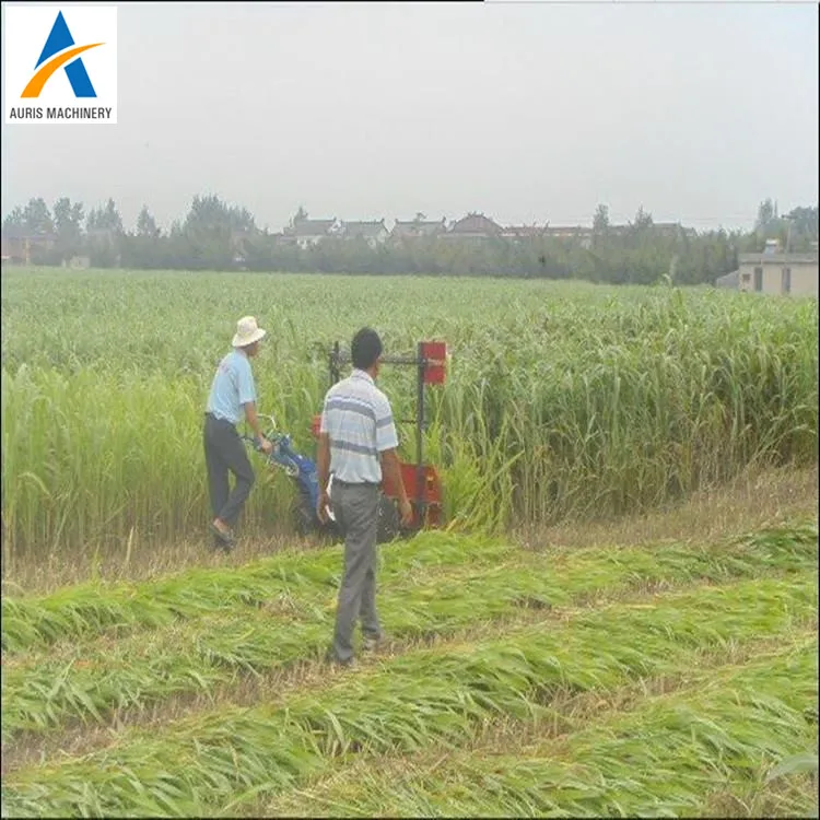 Мелкая рисовая пшеница, зерно, тростник, мокурузный жнец, машина для уборки, для продажи