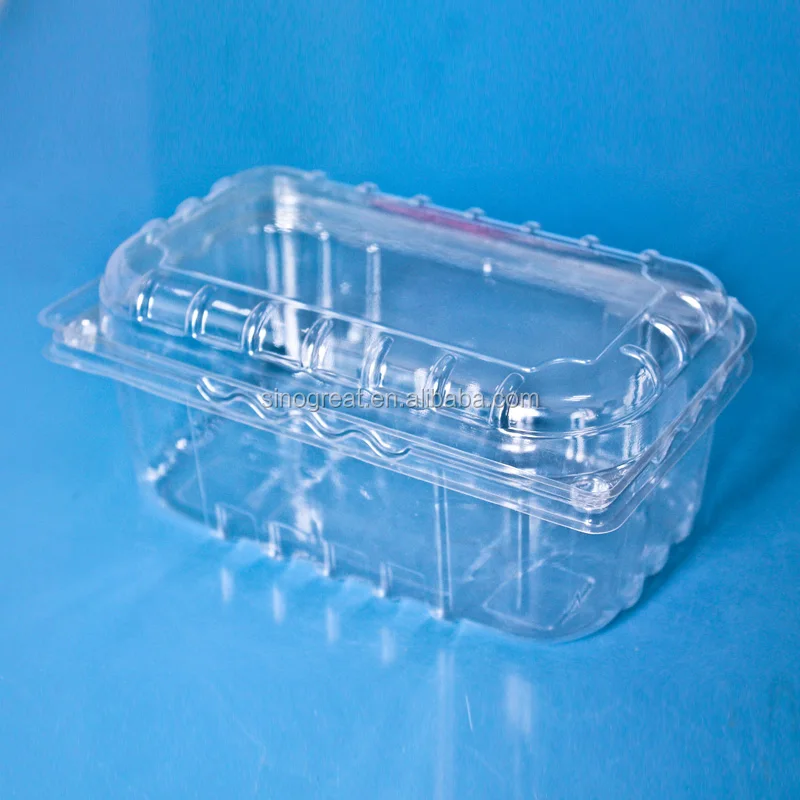 Disposable 500g PET Strawberry Plastic Container Fruits Packaging Clamshell  With Air Holes Manufacturers