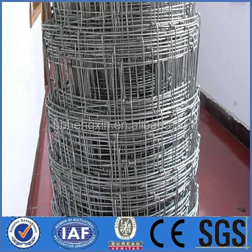 Field Fence Hog Wire Hot Galvanized Goat Farming Fen