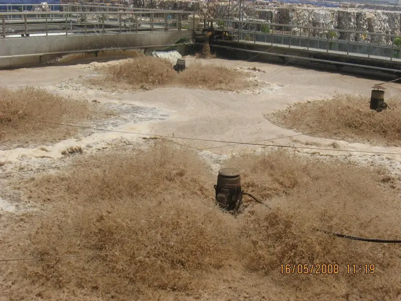 SAR Surface Aerator in Taiwan Wastewater Treatment Plant