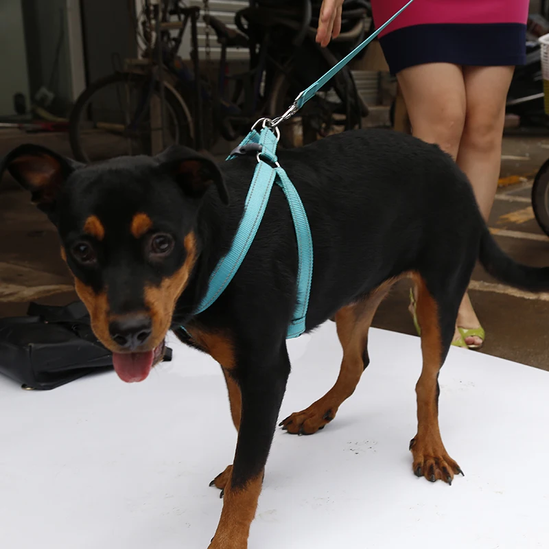 best sellingvr认证公司简介