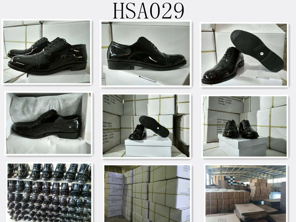 HSA029-11