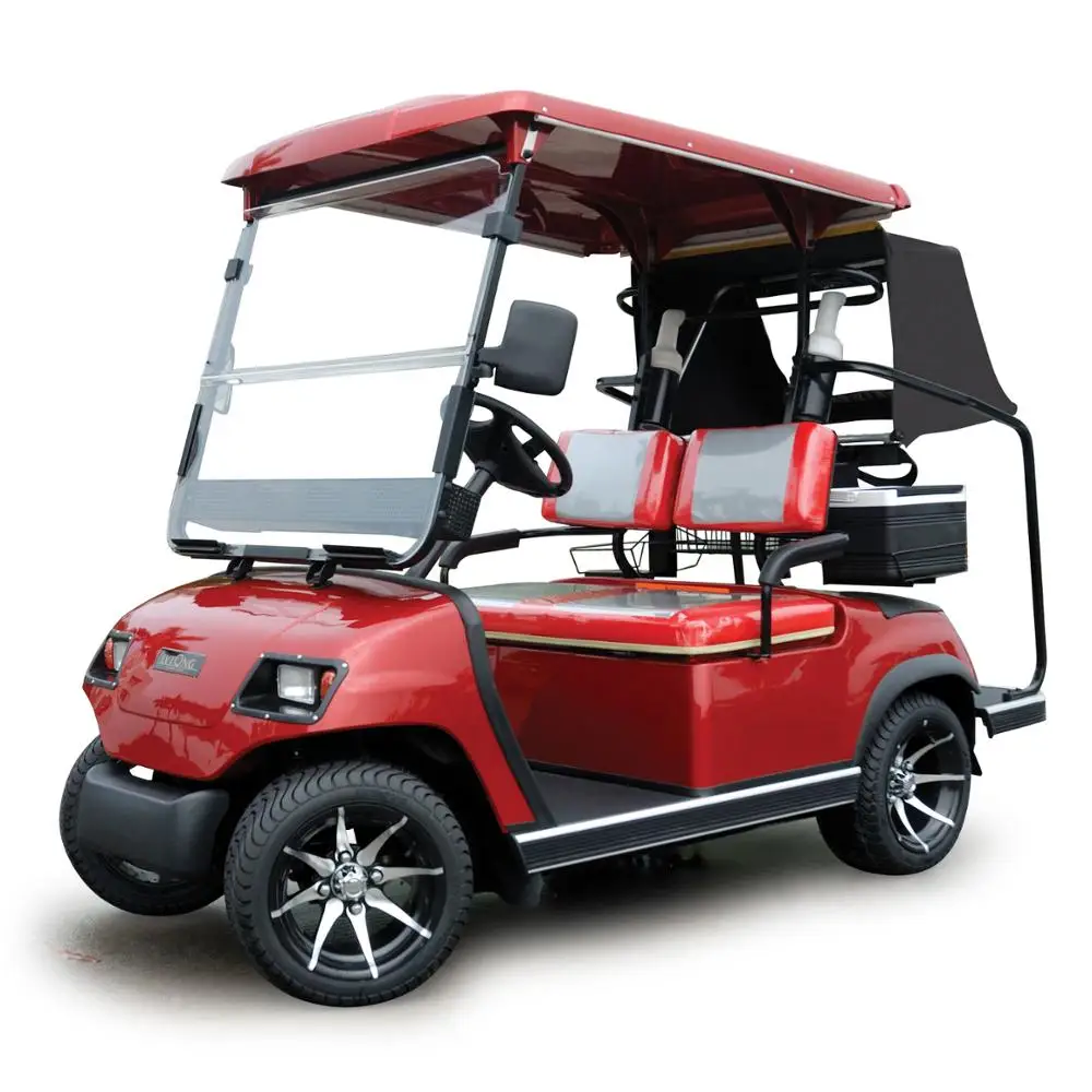 Electric Buggy/Cart - 2-Seater