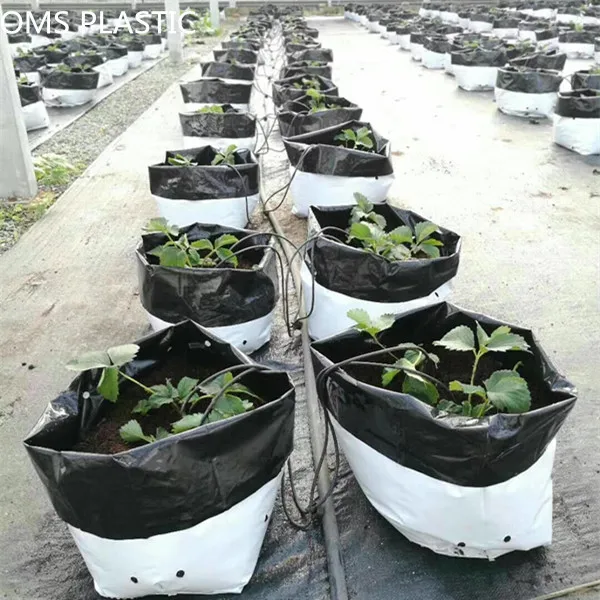 plant grow bolsas