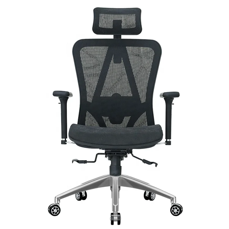 Ergonomic Office Chair High Back Tiltable Lumbar Support with Adjustable  Armrest