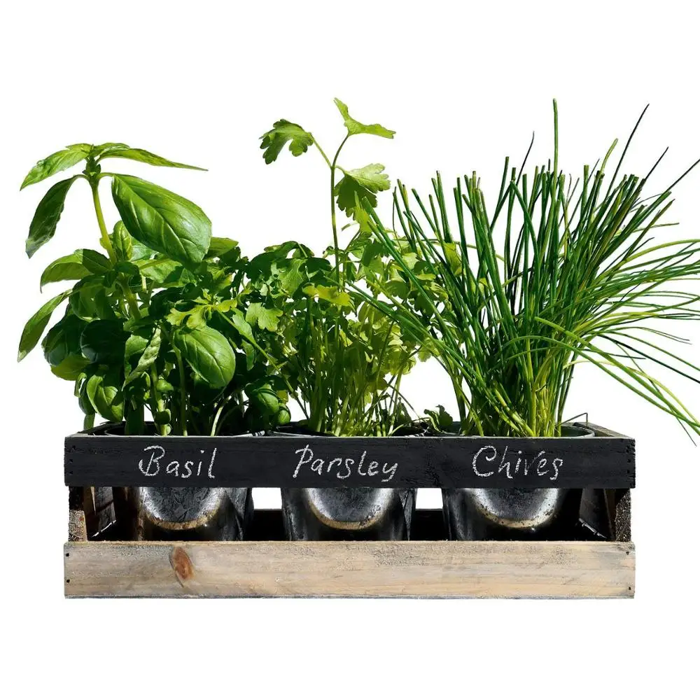 Kit Kebun Herbal Dalam Ruangankotak Penanam Ambang Jendela Kayu Dapur Kit Taman - Buy Kayu Jendela Planter Box Indoor Herb Garden Kit Indoor Planter Box Product On Alibabacom