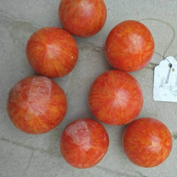 Семена томатов производитель Китай. Черри семена японские.