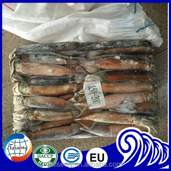 Оптовые цены на продукты питания для рыбы морепродуктов замороженный Каламар для импортера замороженной рыбы
