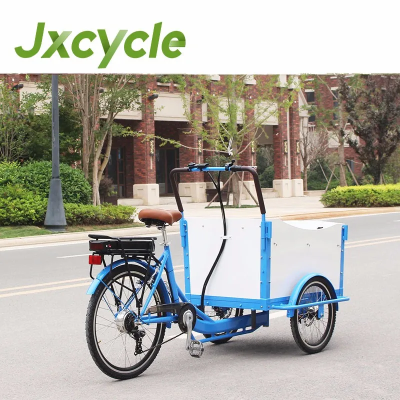 tricycle for two