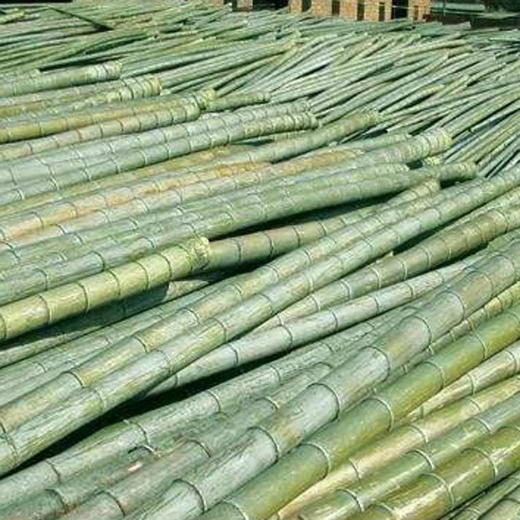 8 bamboo poles