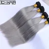 1b/Grey