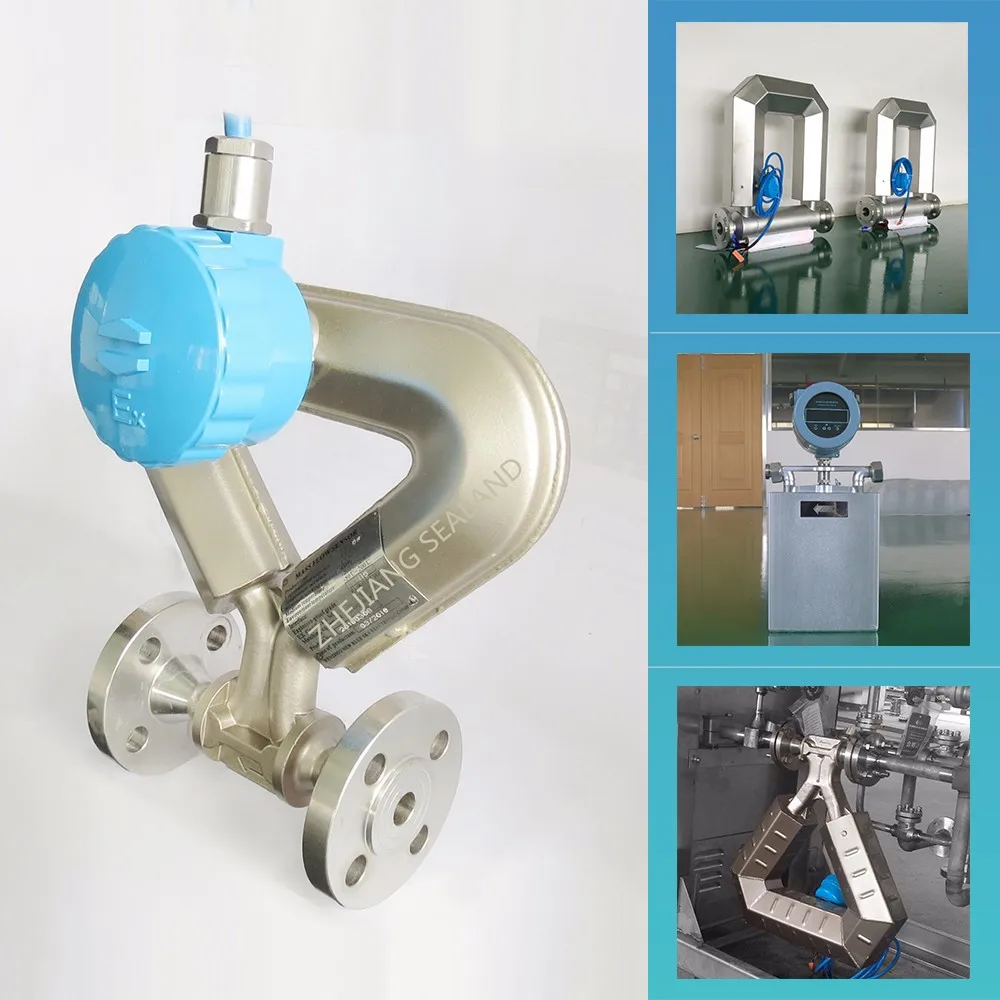 Liquid & Gas Coriolis Mass Flow Gauge Meter / Mass Flowmeter / Coriolis