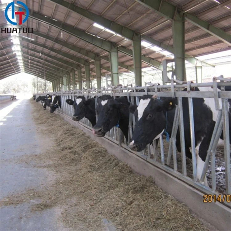 Free Design Drawing Steel Structural Poultry House Dairy Farm Shed for Chickens Shed