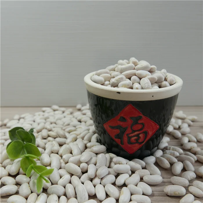 Wholesale Supply China Natural Plant Pure Baishake White Kidney Bean Canned  Food Bean /Alubia/ Vanilla Beans