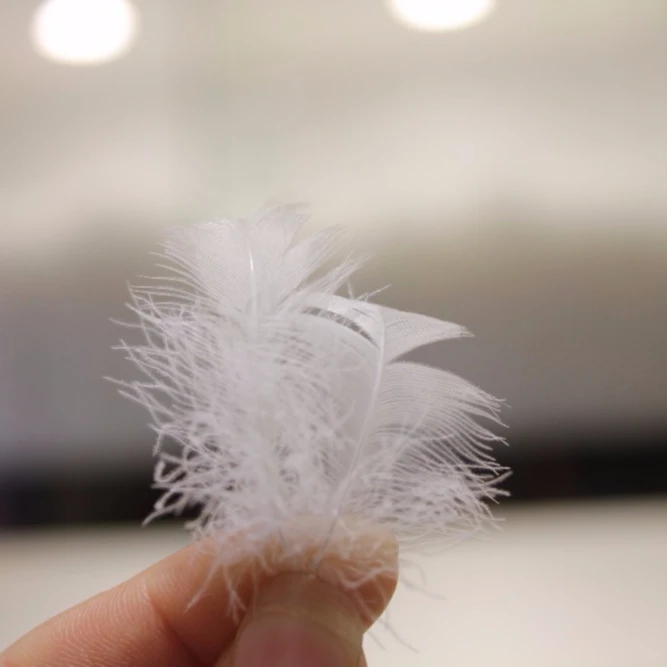 
China Made Wholesale High Quality Cheap 100% Washed Goose Feather Down Natural White Goose Feather 