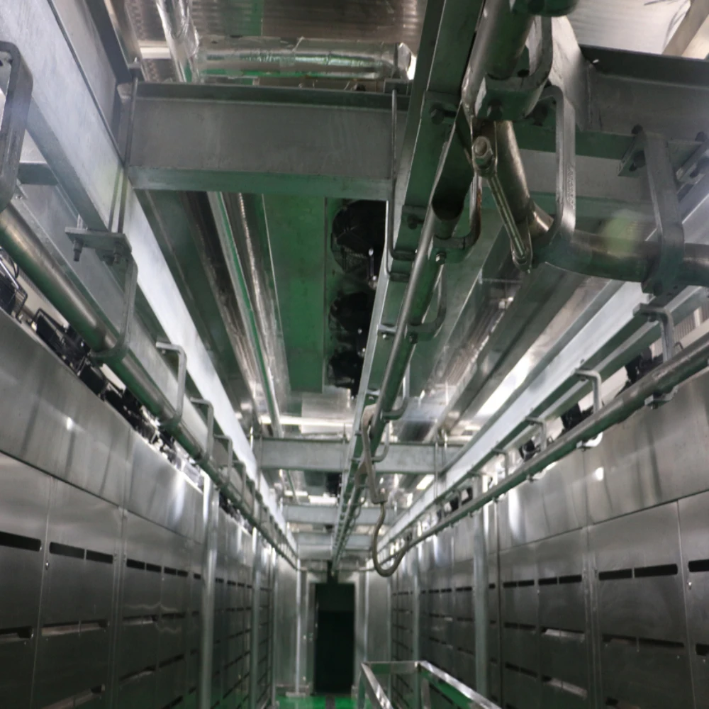 Chicken thawing chamber for defrosting machine frozen meat microwave thawing machine equipment