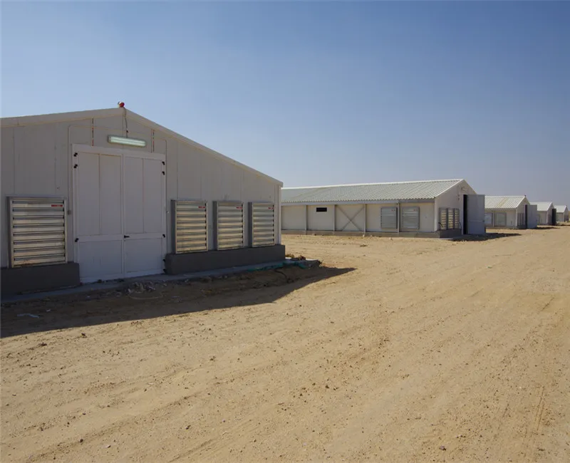 Insulated Steel Modular Buildings Cheap Prefab Chicken Farm Shed Turnkey Poultry Projects