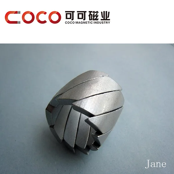 Неодимовый образной формы сочетание продаж