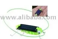 Солнечный кузнечик