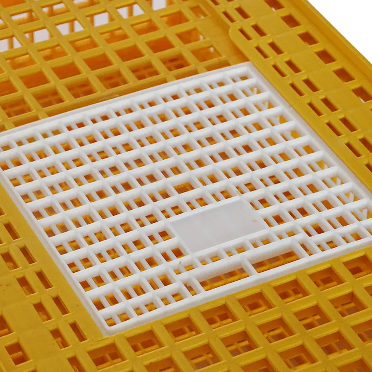 Cheap Price Plastic Chicken Transport Breeding Box Egg Layer Poultry Chicken Crates Plastic Transport Boxes