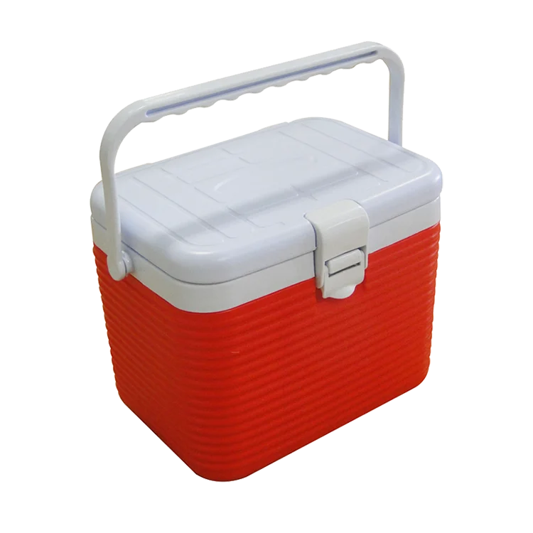 Medis Kecil Cooler Box Darah Insulin Dingin Transportasi Penyimpanan Kotak Es 8l Buy Medis Kecil Cooler Box Insulin Ice Cooler Kotak Darah Transportasi Cooler Box Product On Alibaba 