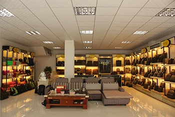 Baoding Hardaway Leather Manufacturing Co., Ltd. 1