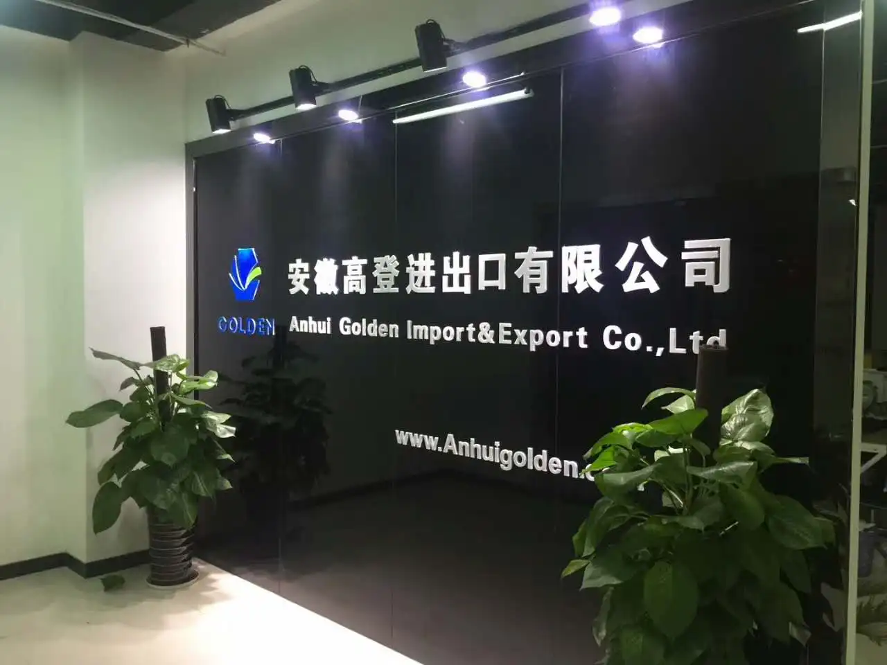 Anhui Golden Import & Export Co., Ltd.