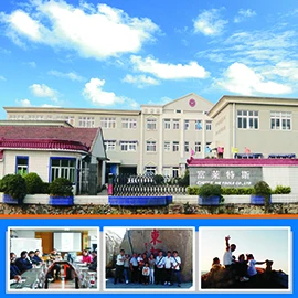 Ningbo Fulaitesi Technology Co., Ltd.