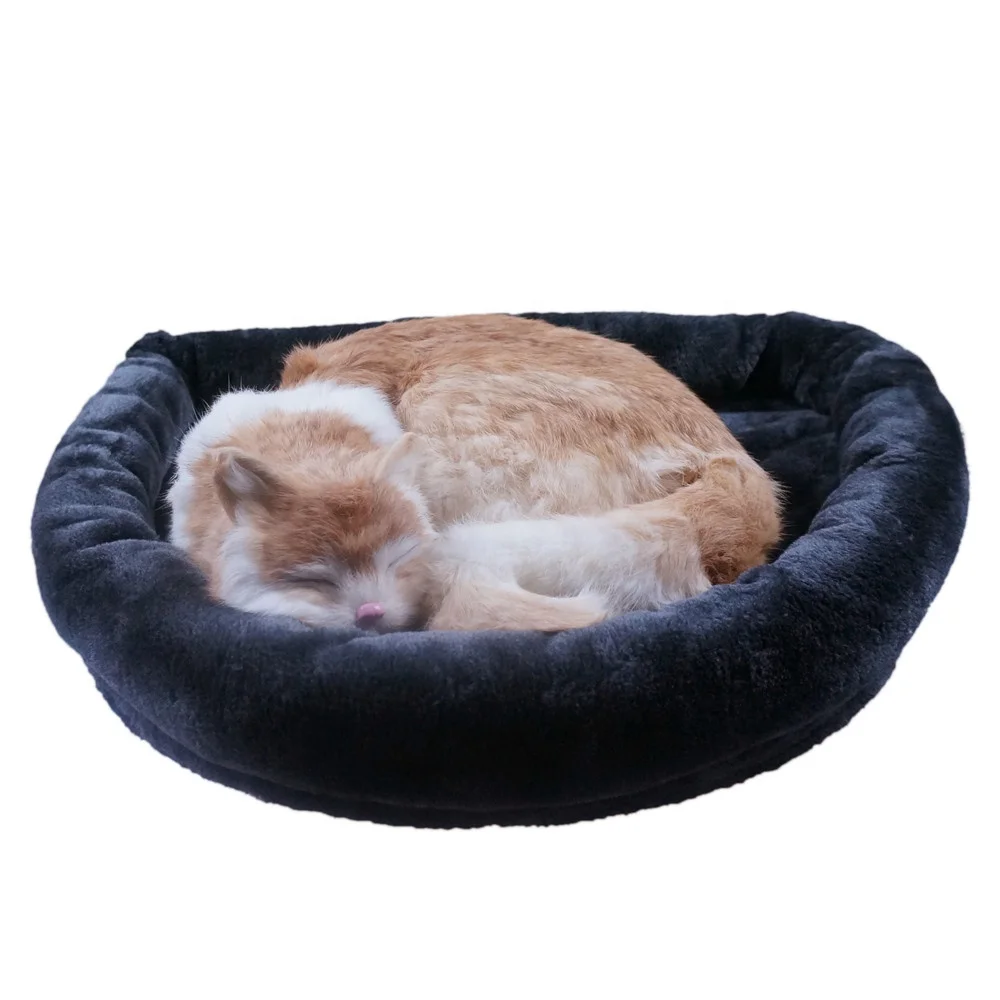 Removable Cover Cozy Cat Window Perch Couch Bed For Kitten Kat Buy Cat Perch Cat Window Perch Cat Couch Bed Product On Alibaba Com