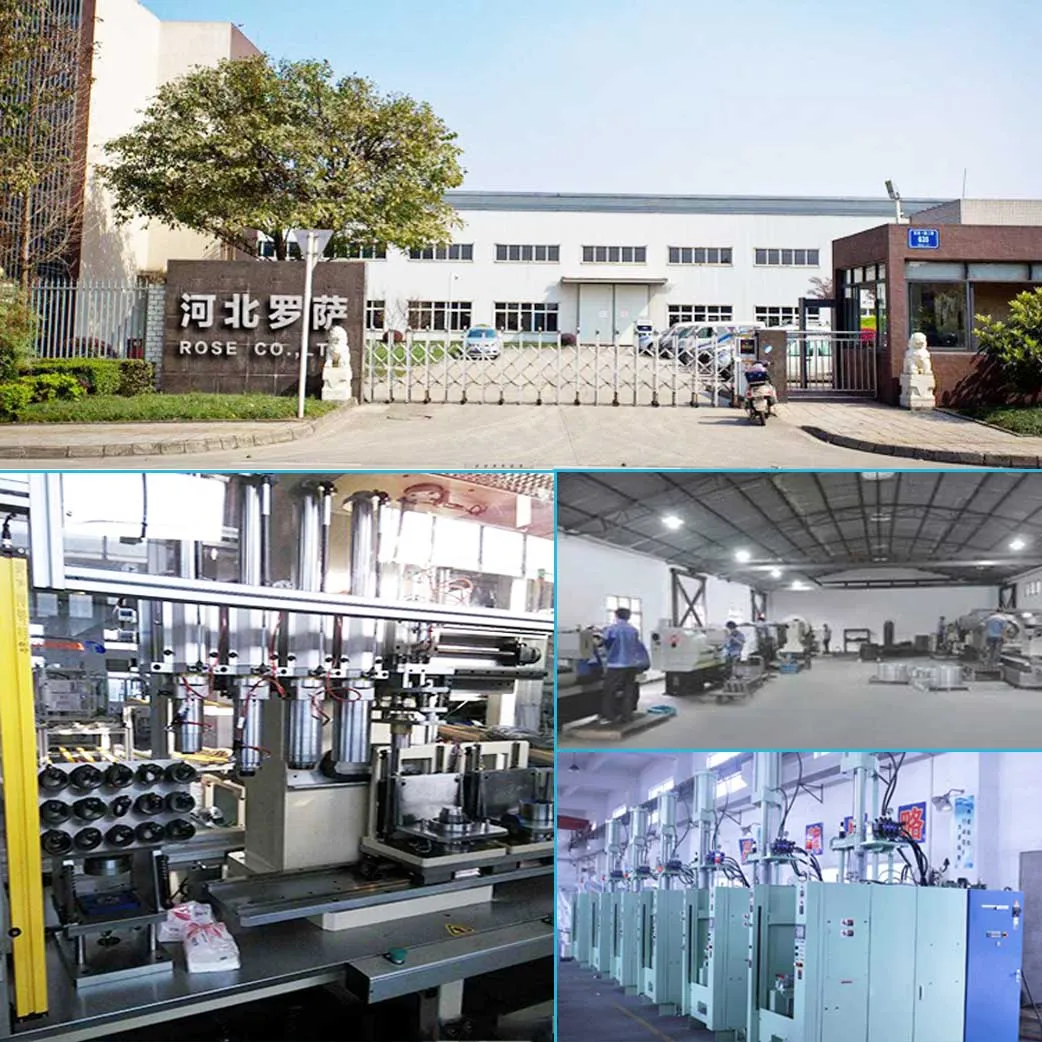 Hebei Luosa Trading Co., Ltd. 1