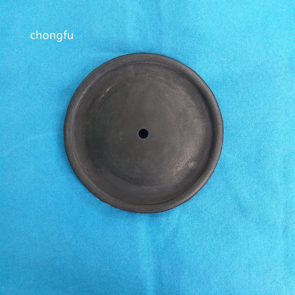 CF01-1060-51 Diaphragm  details