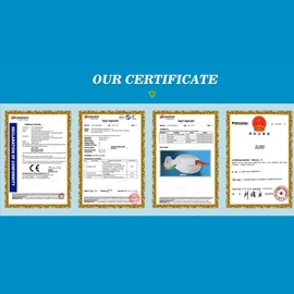 Shenzhen IHOME Inflatables Co., Ltd.