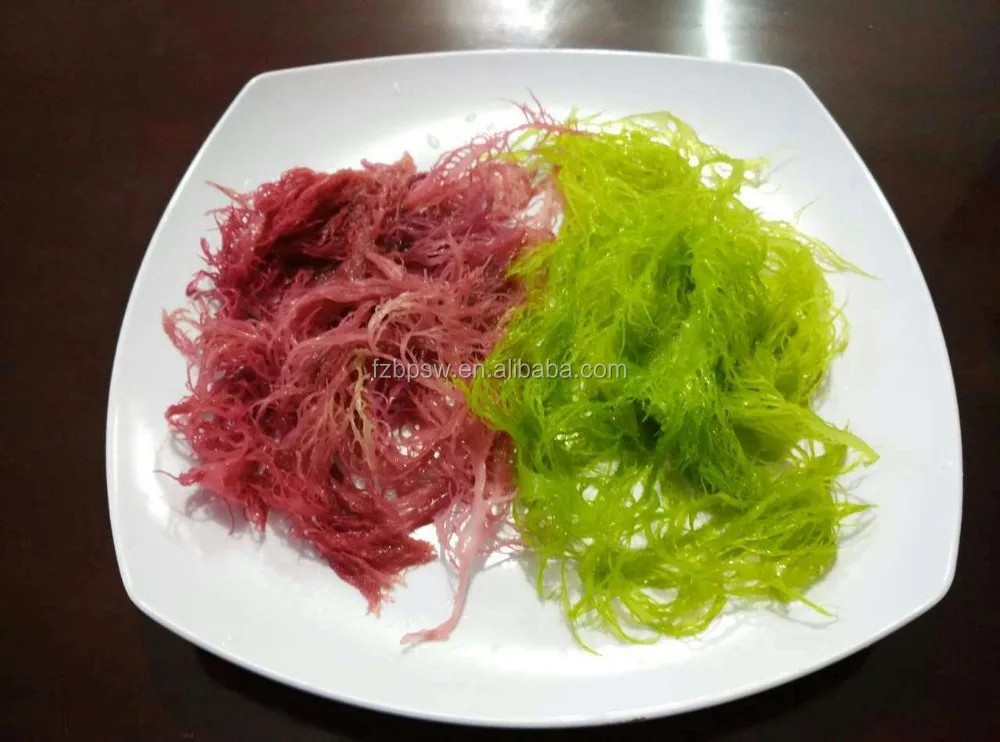 塩漬け土坂海藻 乾燥紅藻 Buy ドライ遠坂海藻 新鮮な海藻販売のため 乾燥した赤の遠坂 Product On Alibaba Com