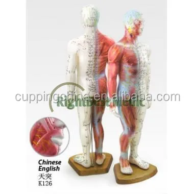 Модель человеческого тела 55 см, демонстрирующая китайские акупунктурные точки, мужские акупунктурные точки и модель мышц, акупунктурная модель Poitn