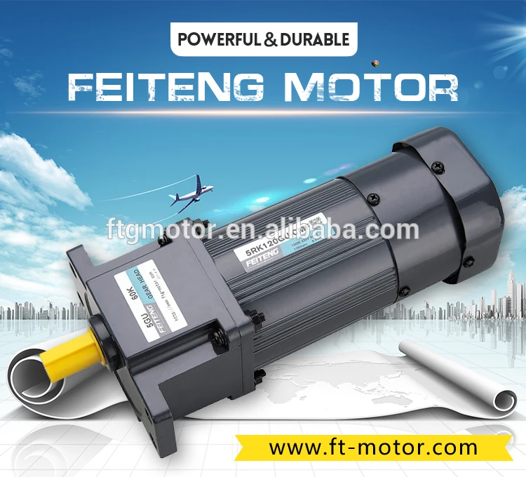 FTG Variable Speed  Ac Gear Motor