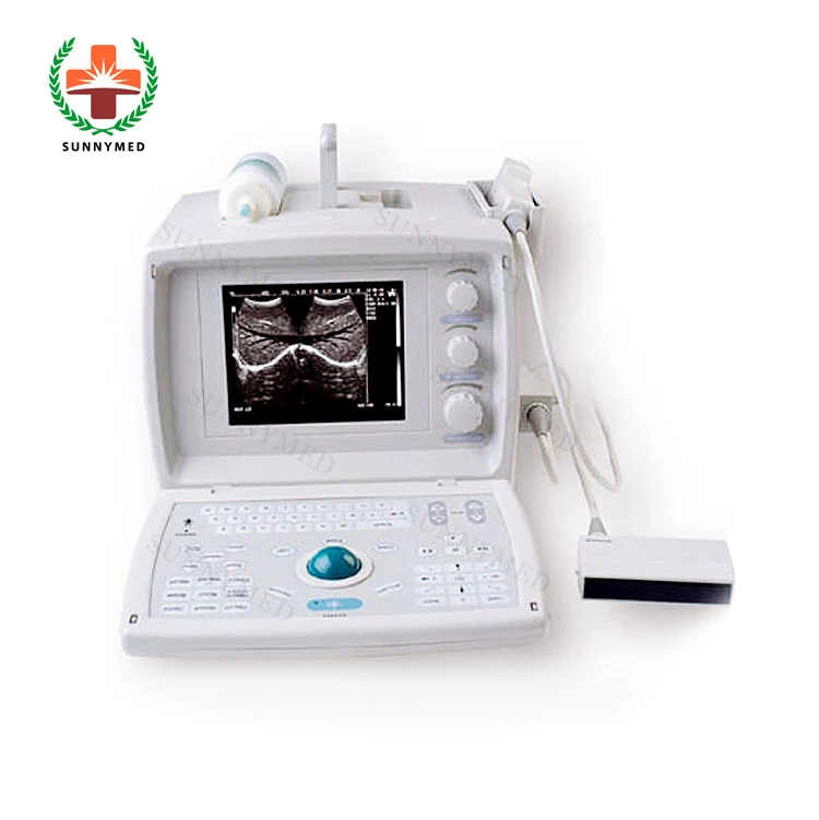 B ultrasound. ультразвуковое исследование (узи). Sonoscape ssi-600. B ultrasound. Europet ultrasound.